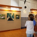Beni-art