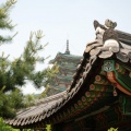 Korean Fast Interpretation