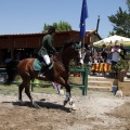 Poni Club