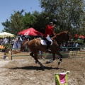 Poni Club