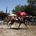 Poni Club