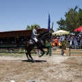 Poni Club