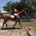 Poni Club