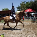 Poni Club