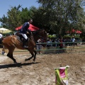 Poni Club