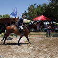 Poni Club