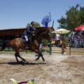 Poni Club