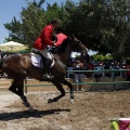Poni Club
