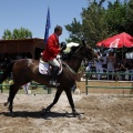 Poni Club