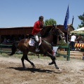 Poni Club