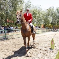 Poni Club