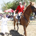 Poni Club