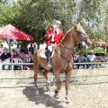 Poni Club