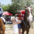 Poni Club