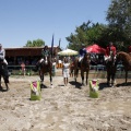 Poni Club