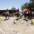 Poni Club
