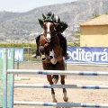 Poni Club