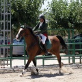 Poni Club