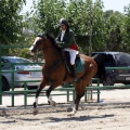 Poni Club
