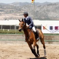 Poni Club