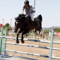 Poni Club