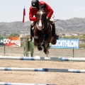 Poni Club