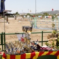 Poni Club