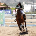 Poni Club