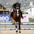 Poni Club