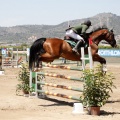 Poni Club