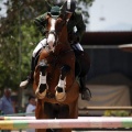 Poni Club