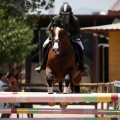Poni Club