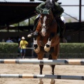Poni Club