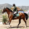Poni Club