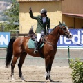 Poni Club