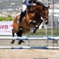 Poni Club