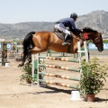 Poni Club