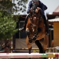 Poni Club