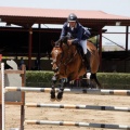 Poni Club