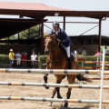 Poni Club