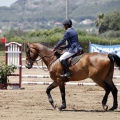 Poni Club