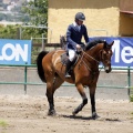 Poni Club