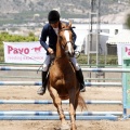 Poni Club