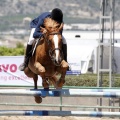 Poni Club