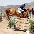 Poni Club