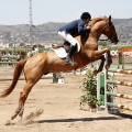 Poni Club