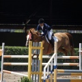 Poni Club