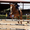 Poni Club