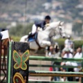 Poni Club