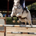 Poni Club